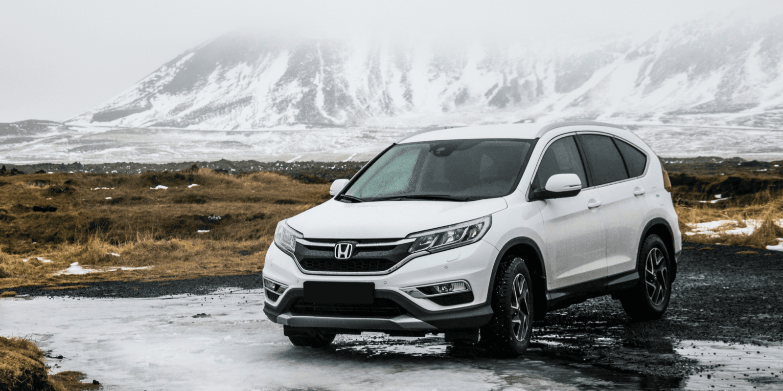 Beskrivelse av kategorien